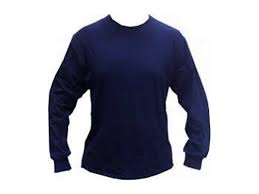 POLO DE TRABAJO DELGADO AZUL